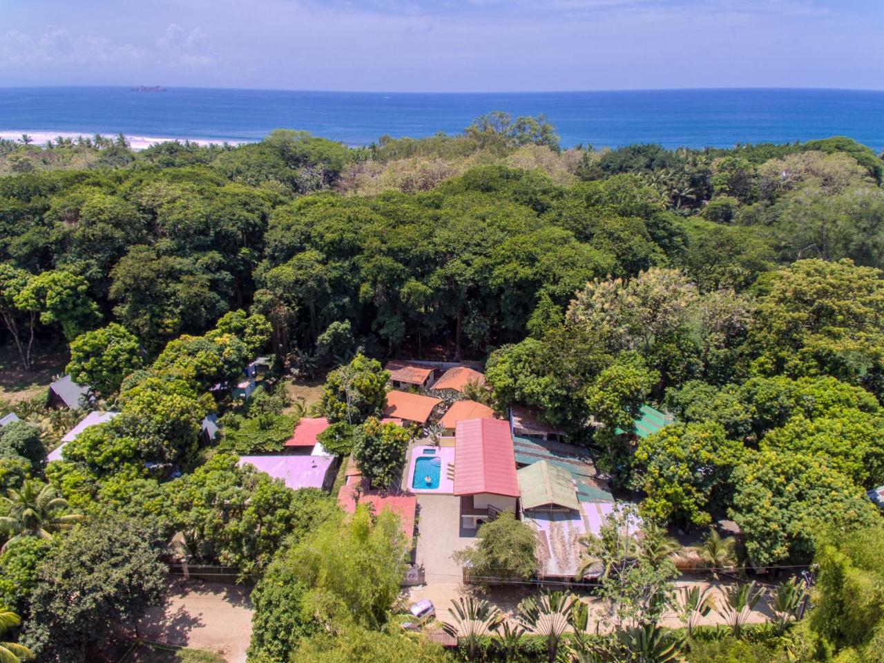 Tropical Apartment *